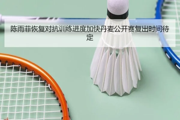 陈雨菲恢复对抗训练进度加快丹麦公开赛复出时间待定（pc28）